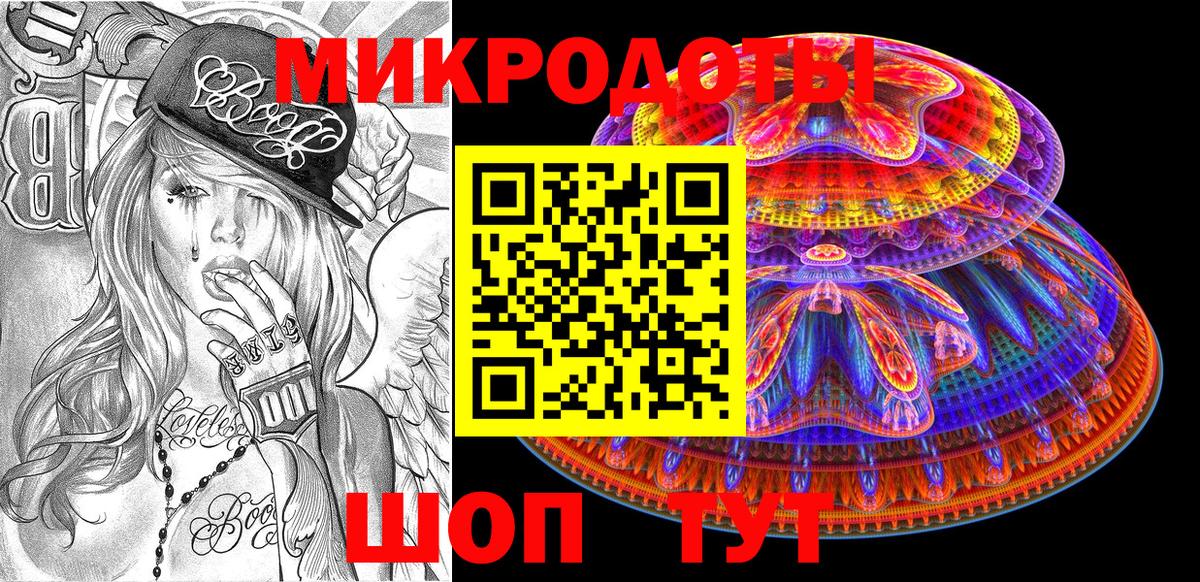 Галлюциногенные грибы Psilocybe Нягань